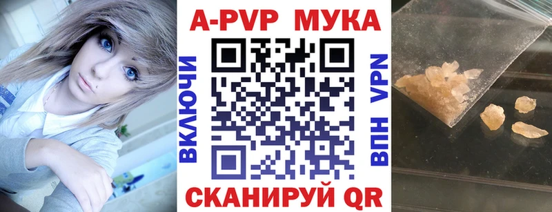 A PVP СК  omg как войти  Нововоронеж 