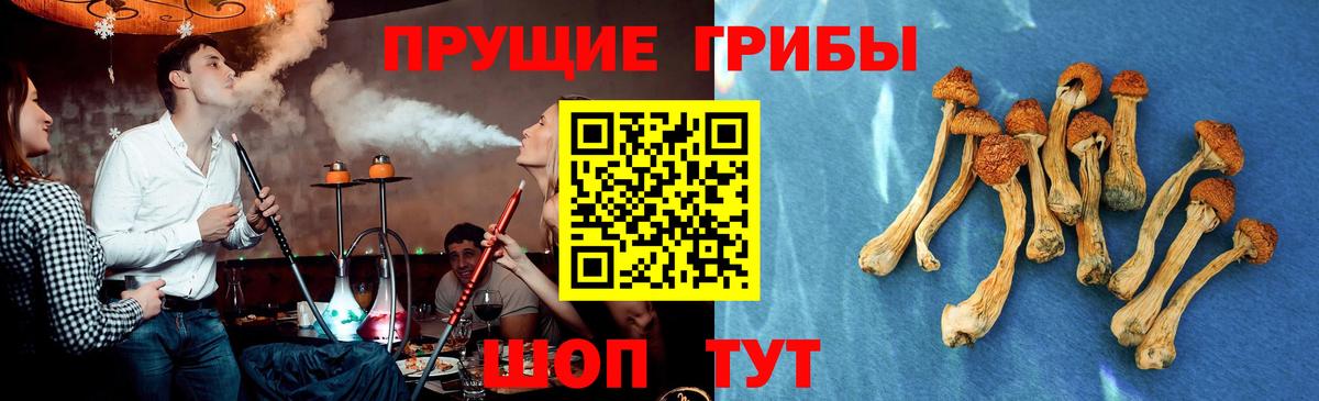 Нововоронеж  Псилоцибиновые грибы Psilocybe  Вход с VPN  Галлюциногенные грибы MAGIC MUSHROOMS 
